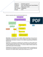 Herencia Ligada Al Sexo (Organizador Grafico)