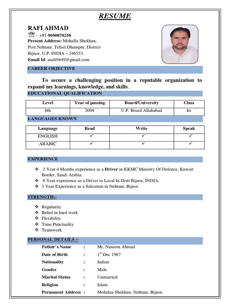 Rafi Ahmad Resume - Driver & Salesman | PDF