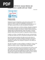 Choque térmico causa danos ao organismo e pode até ser fatal