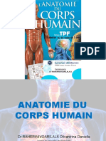 Anatomie Du Corps Humain