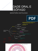 CAVIDADE ORAL E ESÔFAGO - Monitoria