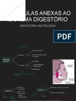 Glândulas Anexas Ao Sistema Digestório