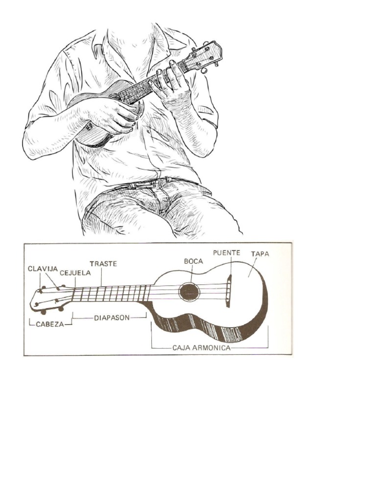 Instrumentos Musicales PDF