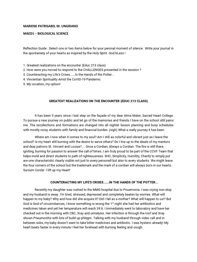 Vincentian Formation Reflection PDF