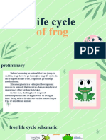 ppt Life cycle of frog