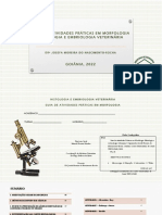 Guia Prático em Morfologia Animal IMPRIMIR E ENCADERNAR