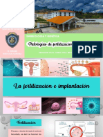 Patologias en Fertilizacion e Implantacion. Becky Villalobos, Erickson Vaca, Karol Vela