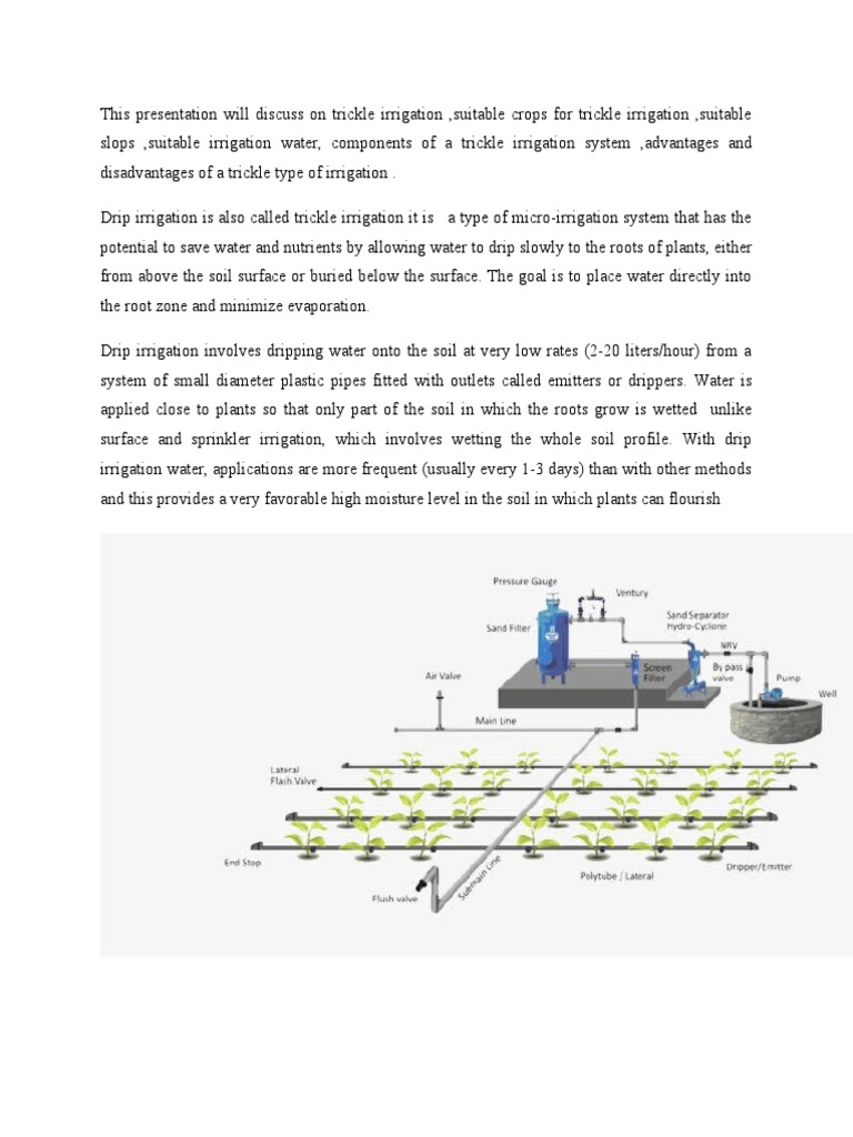 Drip Irrigation PDF Irrigation Environmental Science