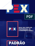 Cópia de PEX - ABORDAGEM