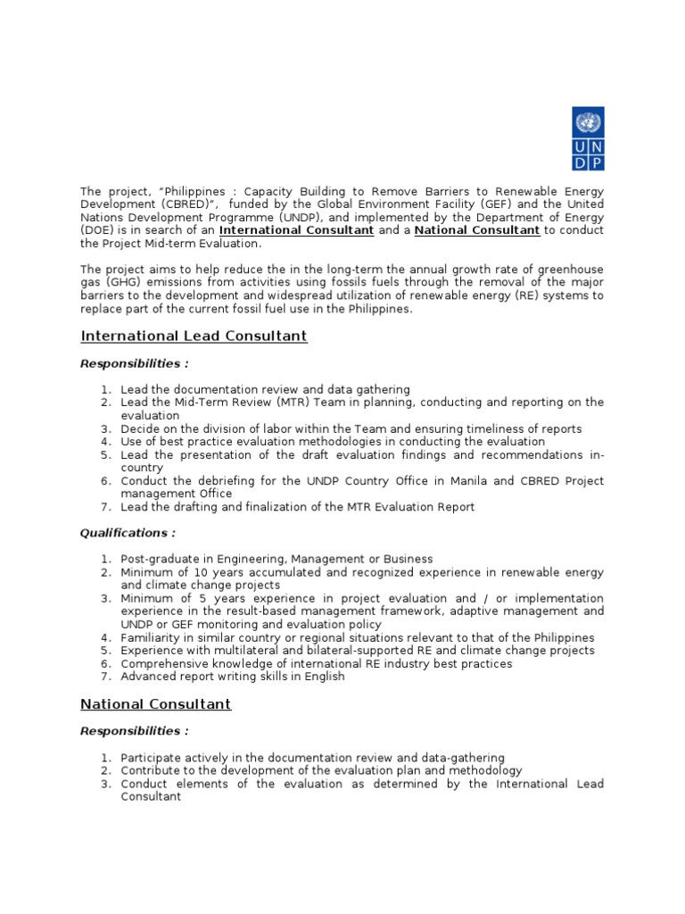 International Lead Consultant Responsibilities PDF Global