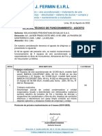 Informe Tecnico Fermin - 02-08-2022