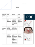 FICHA - MUSCULOS - CABEZA - Y - CUELLO Ficha 9