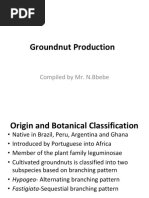 Groundnut Farming Practices in Uganda | PDF | Sowing | Peanuts