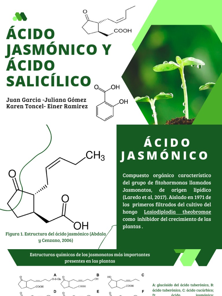 Seminario Ácido Jasmónico y Ácido Salicílico PDF Hormona Vegetal