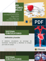 Sistema Circulatorio y Cigarrillo (PE)
