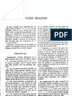 Plexo Braquial 2