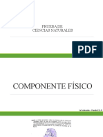 PRUEBA C.N. FISICA