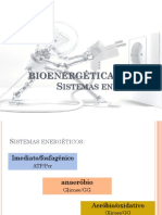 Bioenergetica Parte 2