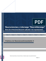 Apunte E - Practicos de Neurosicoentrenamiento V