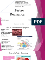 Firbre Reumatica Vere