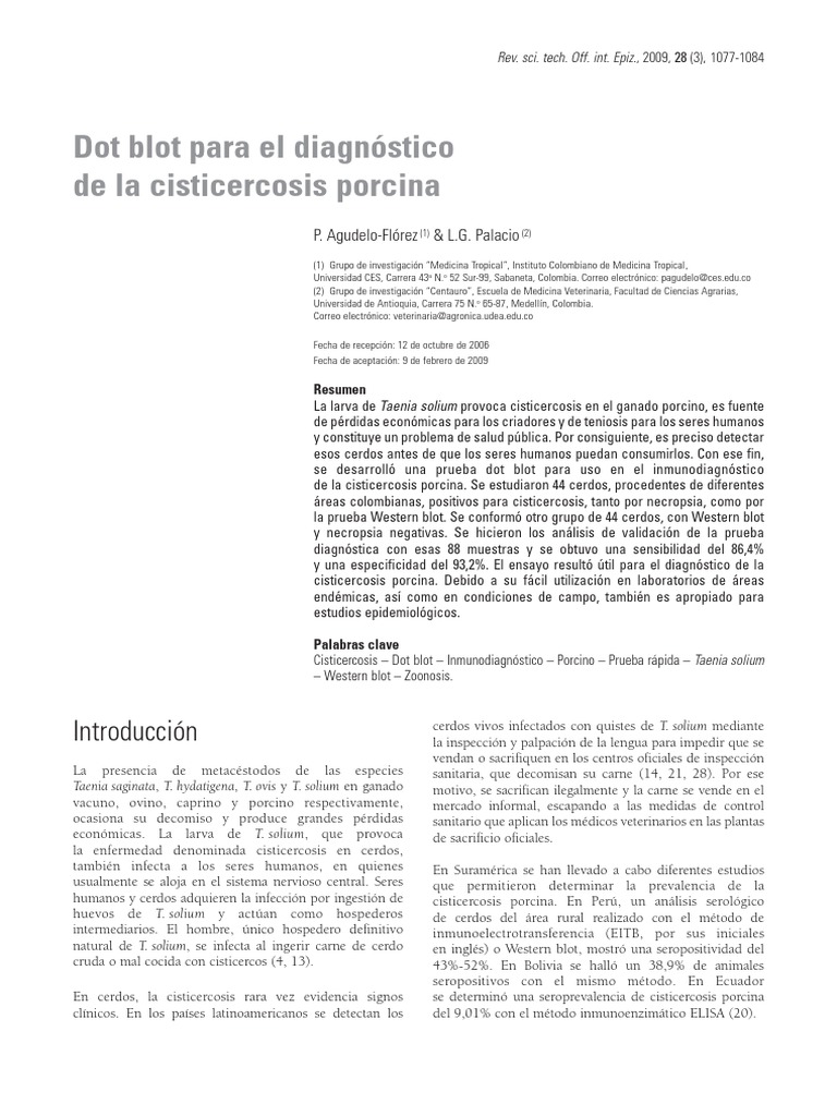 Dot Blot para El Diagnóstico | PDF | Diagnostico medico | Medicina