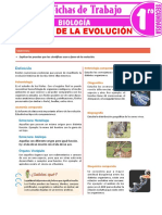 Evidencias de La Evolucion para Primer Grado de Secundaria