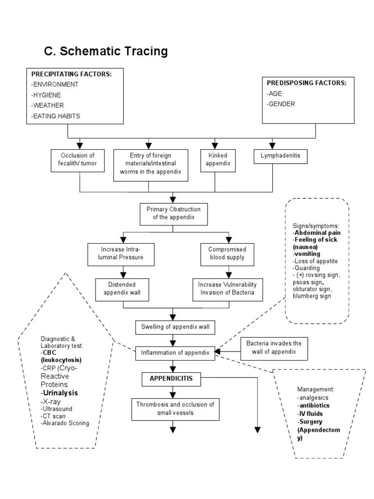 Appendicitis: Symptoms, Diagnosis, and Treatment | PDF ...