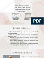 Korteks Adrenal KLP 2