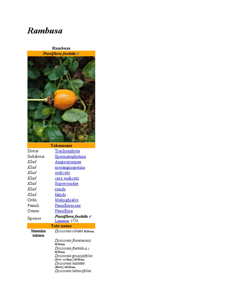 Klasifikasi dan Ciri Rambusa (Passiflora foetida) | PDF | Sains ...
