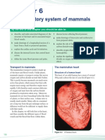 Chapter 6 The Circulatory System of Mammals