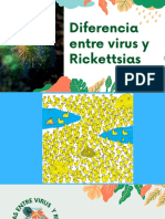 Diferencias Entre Virus y Rickettsias