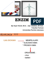 Pertemuan 1-Enzim