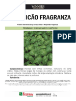 Manjericão Fragranza - InfoTecnicaP - 1604