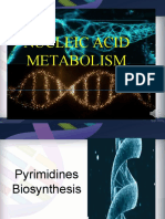 Pyrimidine Biosynthesis