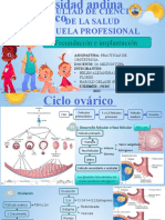 Ciclo ovárico y fecundación humana