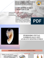 Adaptacion Respiratoria y Cardiovascular