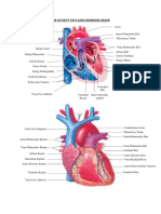 Lab Act Cardio