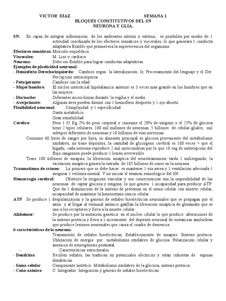 Fisiologia | PDF | Sinapsis | Neurona