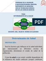 Tema (4) Determinantes de La Salud