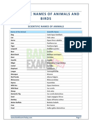 Scientific Names of Animals & Birds Reference Guide, PDF, Organisms