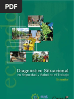 Download Diagnostico SST Ecuador ISAT 2011 by Noticias Ila SN58950051 doc pdf