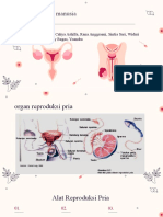 Sistem Reproduksi Manusia - ppt.9c