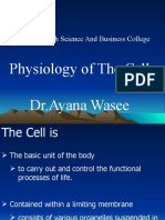 Physiology of The Cell DR - Ayana Wasee: Woreta Health Science and Business College