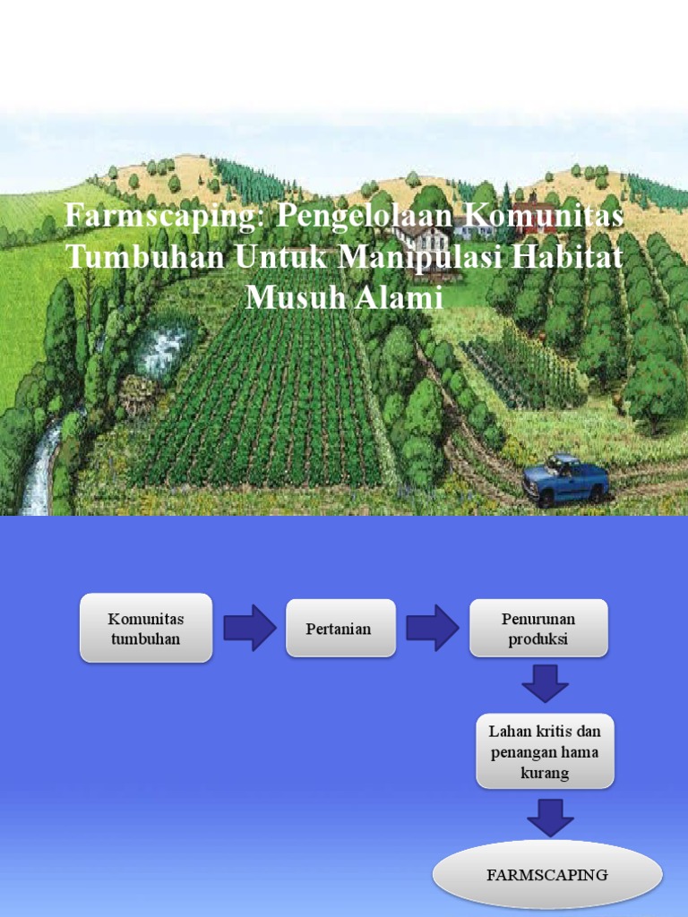 Farmscapping | PDF