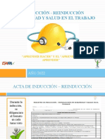 Induccioìn SST Modelo 2022