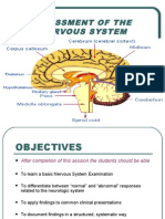 Assessment of The Nervous System - Final