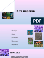 5-те царства