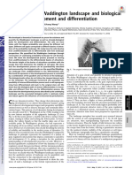 2 Quantifying The Waddington Landscape and Biologicalpaths For Development and Differentiation