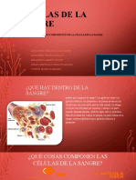Características de las células de la sangre