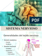 Histologia Del Tejido-Nervioso